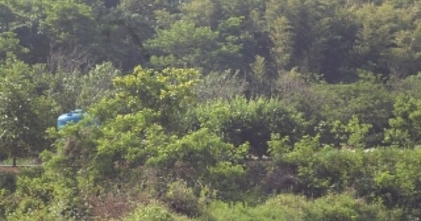 경상남도 밀양시 교동 OOOOO 답 경매 물건 이미지