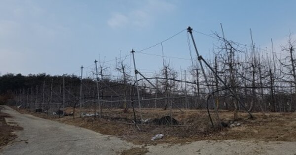 경상북도 의성군 점곡면 명고리 OOOOO 전 경매 물건 이미지