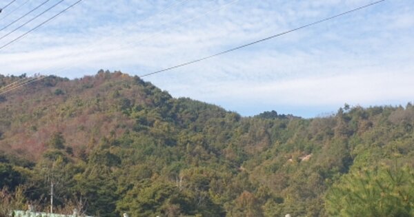 경상남도 함양군 지곡면 보산리 OOOO 임야 경매 물건 이미지