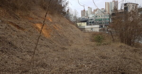 충청남도 당진시 읍내동 OOOO 대지 경매 물건 이미지