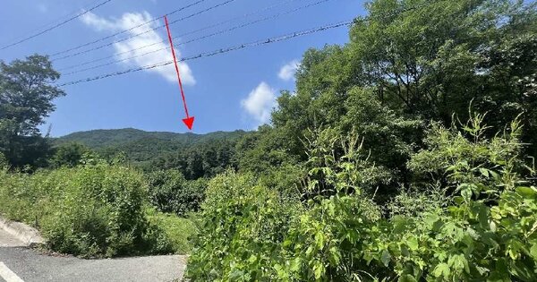 충청북도 제천시 신월동 OOOOO O OOO 임야 경매 물건 이미지