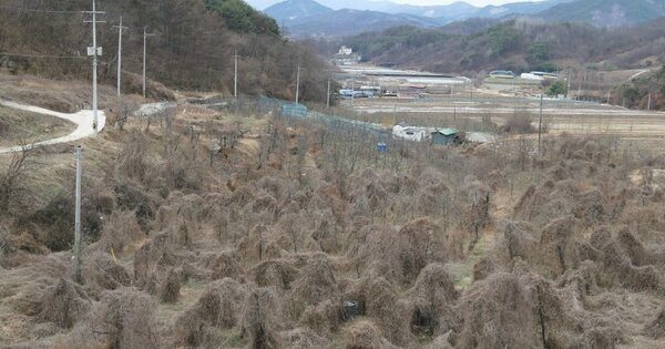경상남도 함양군 안의면 대대리 OOO 답 경매 물건 이미지