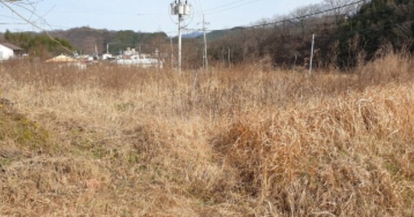 경상남도 합천군 삼가면 소오리 OOO O OOO 전 경매 물건 이미지