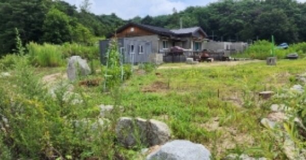 경상북도 안동시 와룡면 가구리 OOOOOO 임야 경매 물건 이미지