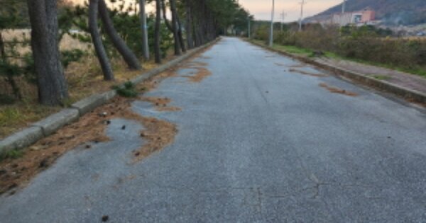 전라북도 부안군 변산면 도청리 OOOOOO O OOO 유원지 경매 물건 이미지