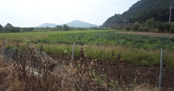 경상남도 창녕군 부곡면 수다리 OOOO O OOO 답 경매 물건 이미지
