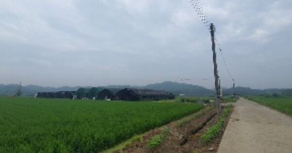경상남도 함안군 대산면 평림리 OOOOOO 답 경매 물건 이미지