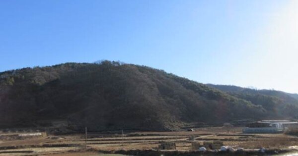 경상북도 예천군 호명면 황지리 OOOOO 임야 경매 물건 이미지