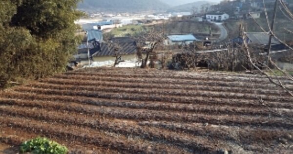 경상남도 밀양시 하남읍 남전리 OOO 전 경매 물건 이미지