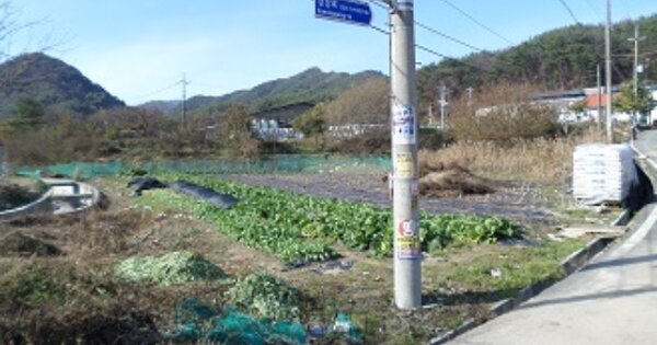 강원특별자치도 횡성군 공근면 초원리 OO O OOO 답 경매 물건 이미지