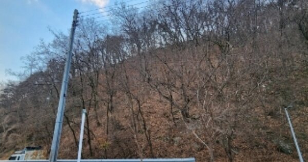 경상북도 안동시 안기동 OOOOOO 임야 경매 물건 이미지