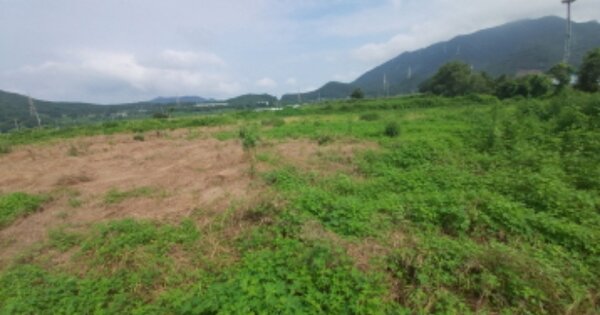 경상남도 고성군 거류면 은월리 OOOOO O OOO 답 경매 물건 이미지