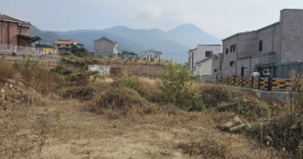 충청북도 충주시 연수동 OOO O OOO 과수원 경매 물건 이미지