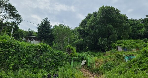 경상남도 창원시 진해구 안골동 OOO O OOO 전 경매 물건 이미지