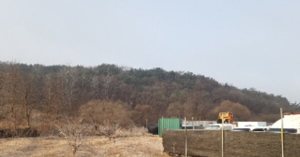 강원특별자치도 춘천시 동내면 거두리 OOOOOOO 임야 경매 물건 이미지