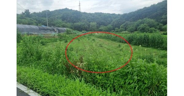 충청남도 당진시 송악읍 가학리 OOO 전 경매 물건 이미지