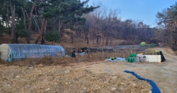 경상북도 포항시 남구 오천읍 원리 OOOOO 답 경매 물건 이미지
