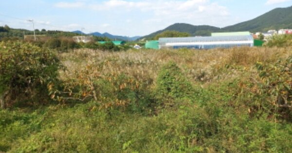 경상남도 거제시 하청면 하청리 OOOOO 답 경매 물건 이미지