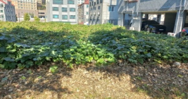 경상남도 거제시 아주동 OOOOOOO 대지 경매 물건 이미지