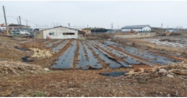 경기도 평택시 고덕면 문곡리 OOOOO 전 경매 물건 이미지