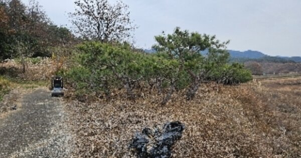 전라남도 보성군 문덕면 양동리 OOO 답 경매 물건 이미지