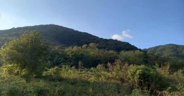 경기도 포천시 영북면 야미리 OOOOOO 임야 경매 물건 이미지