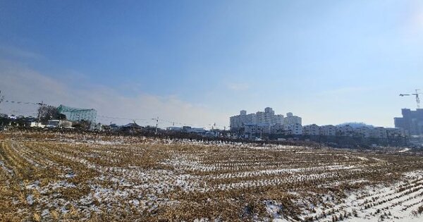 경기도 이천시 백사면 신대리 OOO 답 경매 물건 이미지