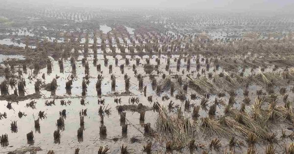경기도 여주시 산북면 용담리 OOO O OOOO 전 경매 물건 이미지
