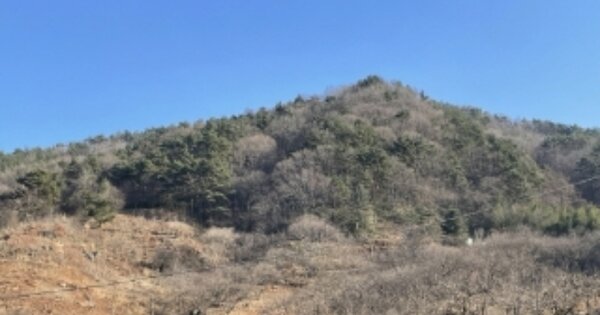 경상남도 산청군 시천면 신천리 OOOOOO O OOO 임야 경매 물건 이미지
