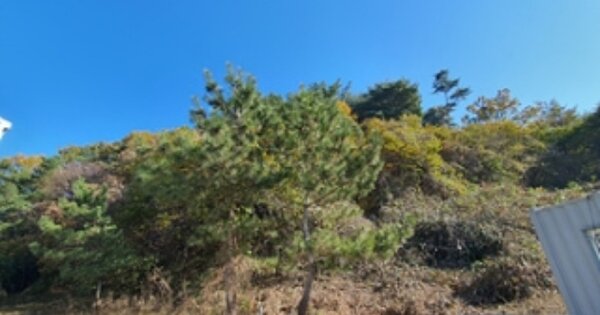 경상남도 김해시 상동면 매리 OOO 임야 경매 물건 이미지