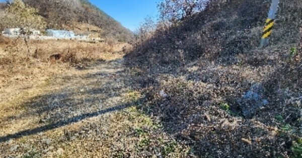 충청북도 제천시 수산면 오티리 OO O OOO 답 경매 물건 이미지