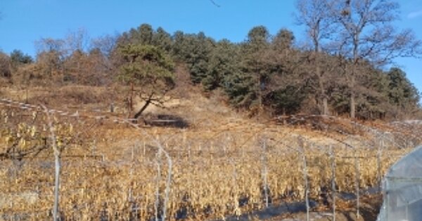 경기도 의정부시 고산동 OOOOO O OOO 임야 경매 물건 이미지