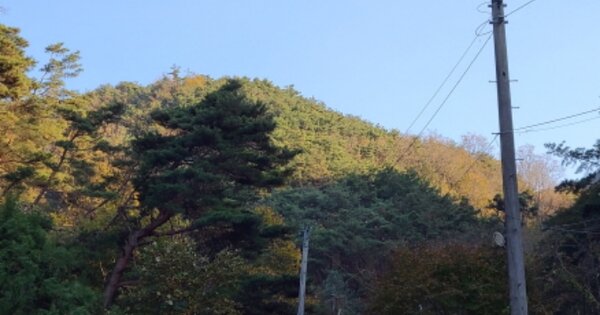 대구광역시 동구 진인동 OOOO 임야 경매 물건 이미지