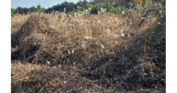 전라남도 나주시 대호동 OOOOO O OOO 과수원 경매 물건 이미지