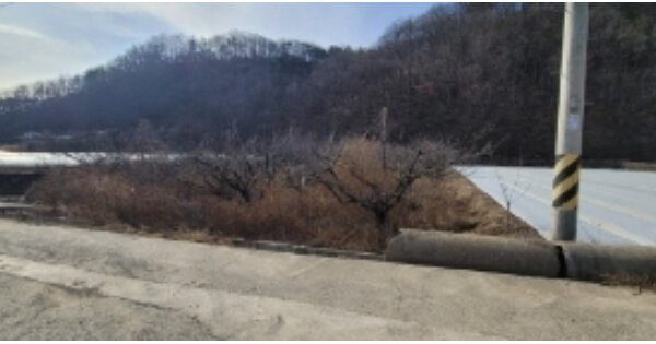 경상북도 영천시 화남면 죽곡리 OOOO 답 경매 물건 이미지