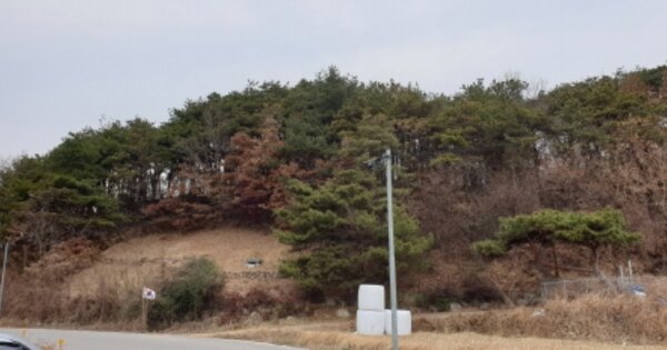 경상남도 거창군 가조면 수월리 OOOOOO O OOO 임야 경매 물건 이미지