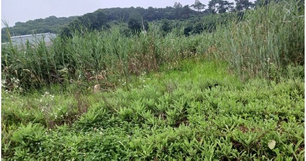 경기도 화성시 송산면 중송리 OO O OOO 답 경매 물건 이미지