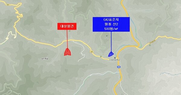 강원특별자치도 태백시 원동 OOOOOO 임야 경매 물건 이미지