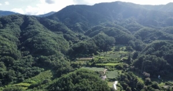 경상북도 김천시 증산면 금곡리 OOO 임야 경매 물건 이미지