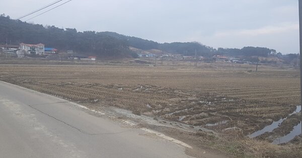 충청남도 서천군 시초면 초현리 OOOOO 답 경매 물건 이미지