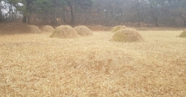 충청남도 서천군 마산면 지산리 OO 임야 경매 물건 이미지