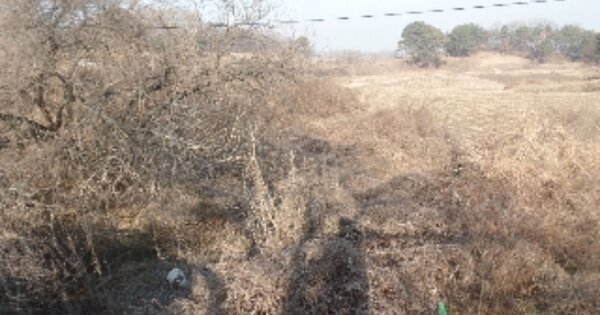충청남도 논산시 가야곡면 종연리 OOO 전 경매 물건 이미지