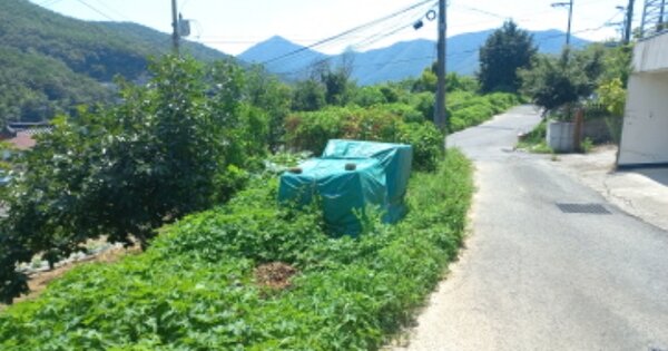 경상남도 거제시 연초면 연사리 OOO 답 경매 물건 이미지
