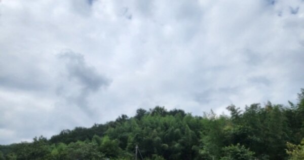 경상남도 고성군 영현면 봉발리 OOOO 임야 경매 물건 이미지