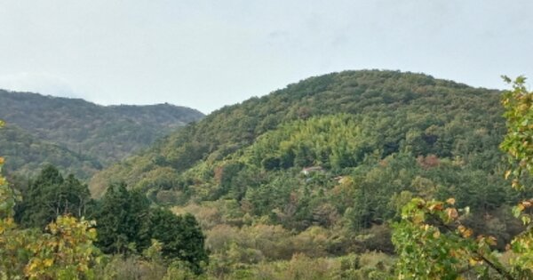 경상남도 거제시 하청면 유계리 OOO O OOO 임야 경매 물건 이미지