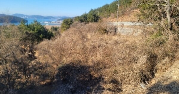 경상남도 거제시 둔덕면 하둔리 OOOOO 임야 경매 물건 이미지