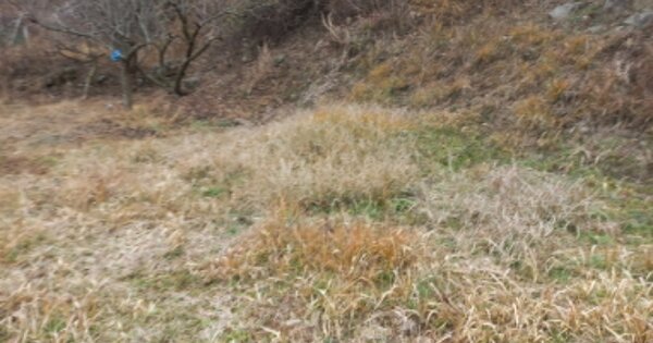경상남도 거제시 연초면 다공리 OOO O OOO 답 경매 물건 이미지