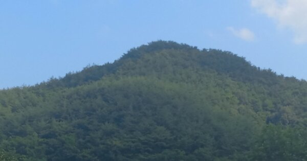 경상남도 진주시 이반성면 장안리 OOOO O OOO 임야 경매 물건 이미지