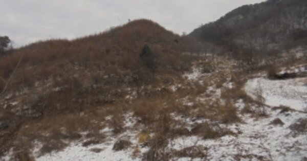 충청북도 충주시 살미면 공이리 OOOOO O OOO 전 경매 물건 이미지