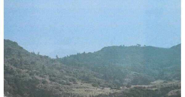 전라남도 여수시 삼산면 덕촌리 OOOOO 전 경매 물건 이미지